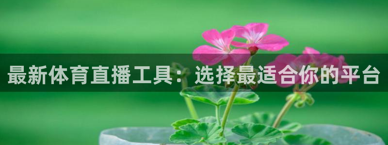 劲爆体育nba在线直播：最新体育直播工具：选择最适合你的平台