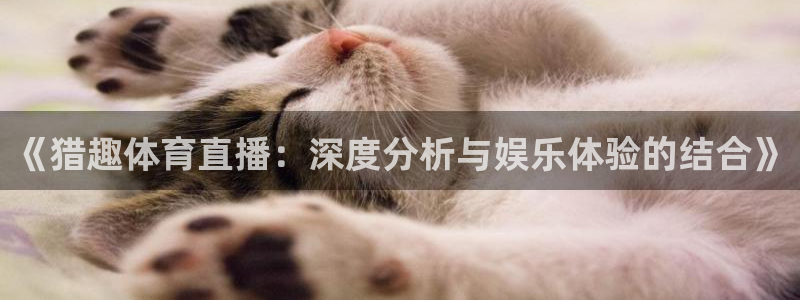 劲爆体育在线直播高清：《猎趣体育直播：深度分析与娱乐体验的结合》