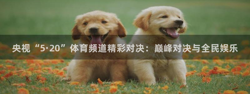 劲爆体育直播免费观看nba：央视“5·20”体育频道精彩对决：巅峰对决与全民娱乐