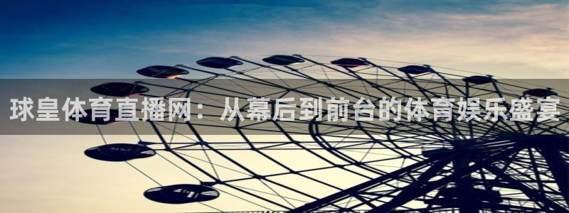 劲爆直播官网免费体育直播：球皇体育直播网：从幕后到前台的体育娱乐盛宴