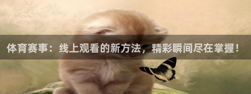 劲爆体育直播免费观看直播间：体育赛事：线上观看的新方法，精彩瞬间尽在掌握！