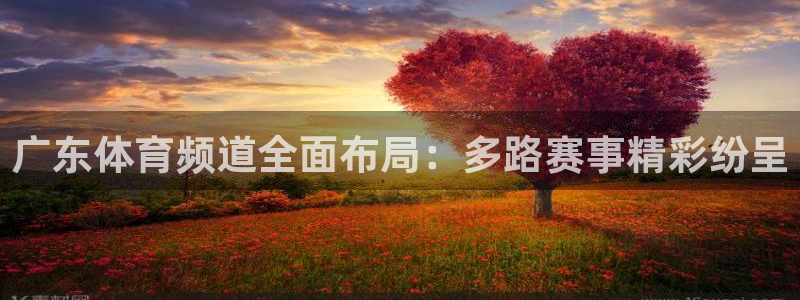 劲爆体育nba在线直播免费观看：广东体育频道全面布局：多路赛事精彩纷呈