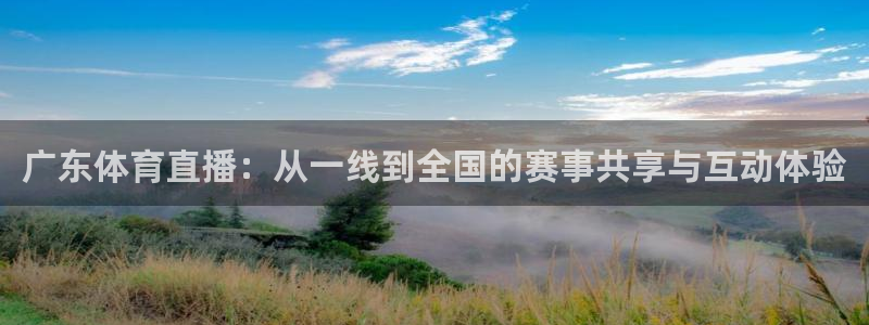 劲爆体育免费直播：广东体育直播：从一线到全国的赛事共享与互动体验