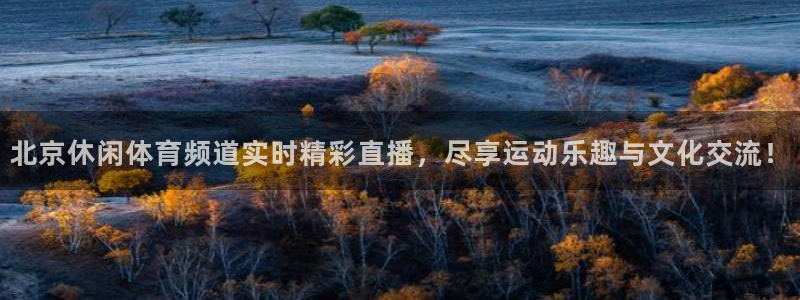劲爆体育直播免费观看nba：北京休闲体育频道实时精彩直播，尽享运动乐趣与文化交流！