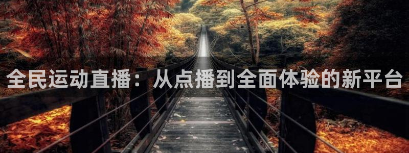劲爆体育nba直播：全民运动直播：从点播到全面体验的新平台