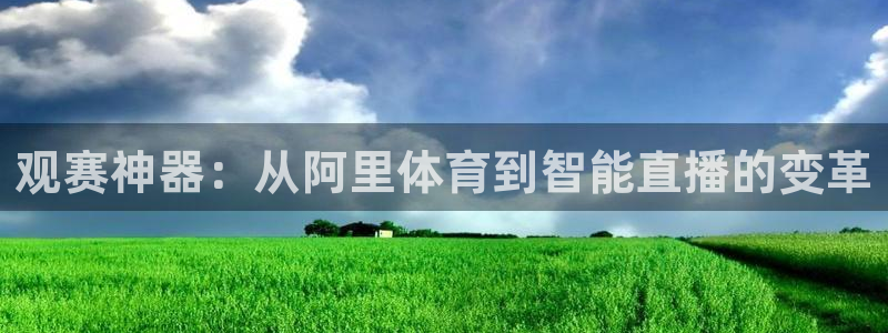 劲爆体育nba在线直播播球帝：观赛神器：从阿里体育到智能直播的变革