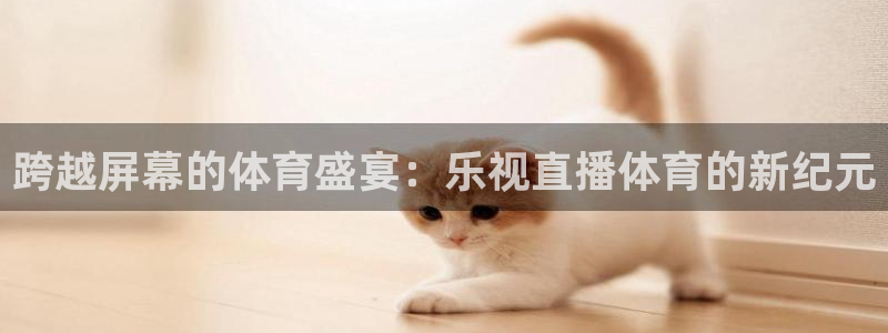 劲爆体育直播单：跨越屏幕的体育盛宴：乐视直播体育的新纪元
