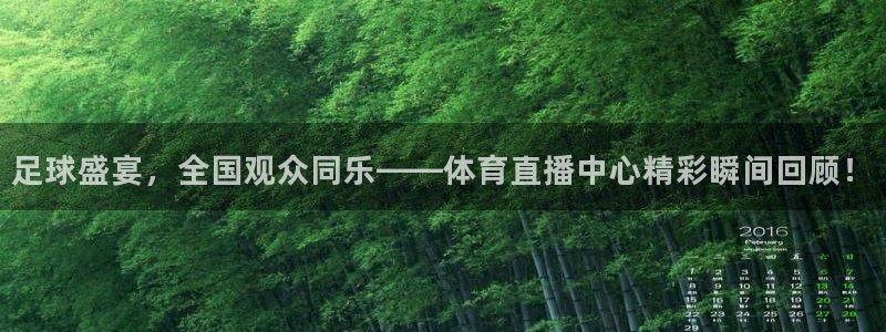 劲爆体育频道高清直播：足球盛宴，全国观众同乐——体育直播中心精彩瞬间回顾！