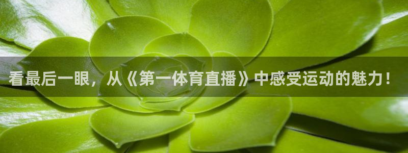 劲爆体育免费直播：看最后一眼，从《第一体育直播》中感受运动的魅力！