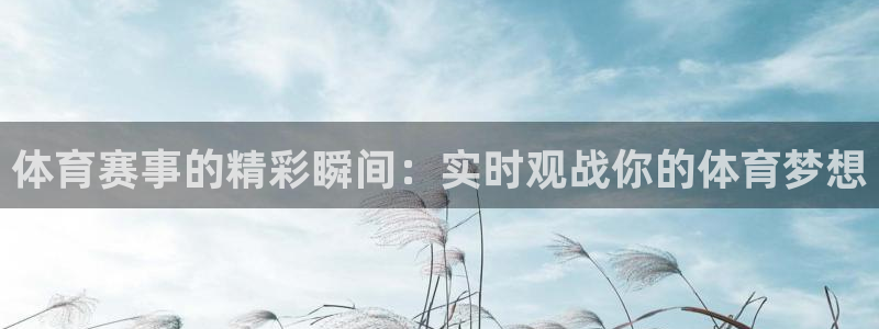 劲爆体育现场直播nba：体育赛事的精彩瞬间：实时观战你的体育梦想