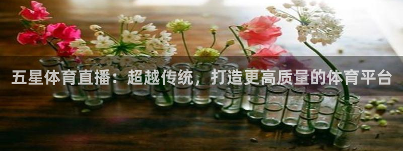 劲爆体育篮球直播：五星体育直播：超越传统，打造更高质量的体育平台